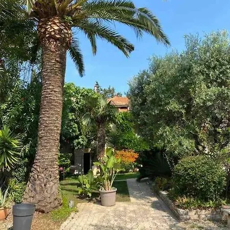 Villa La Petite Palmeraie Frejus